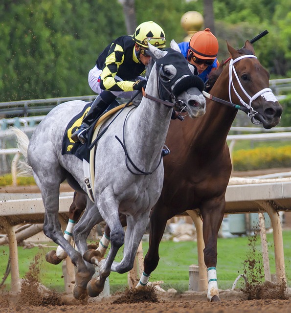 州勇士队的 州勇士队的