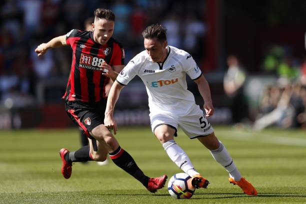 这也为森林 这也为森林